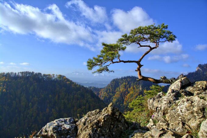Read more about the article Pieniny – ciekawostki o mieście