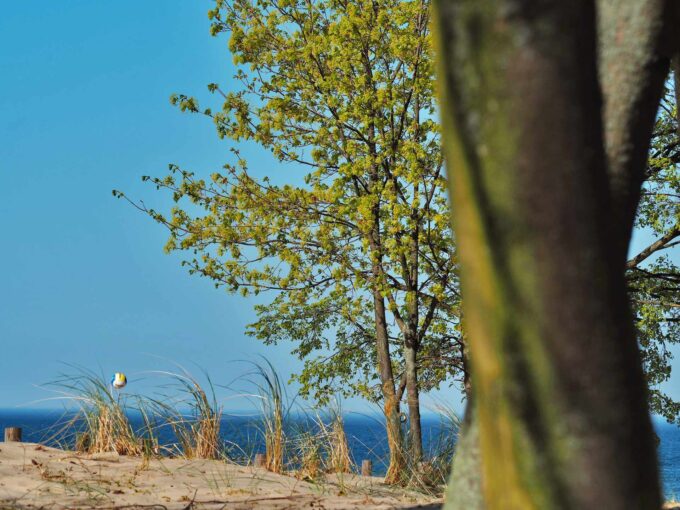 Read more about the article 10 Najlepszych Atrakcji na Pomorzu w 2023