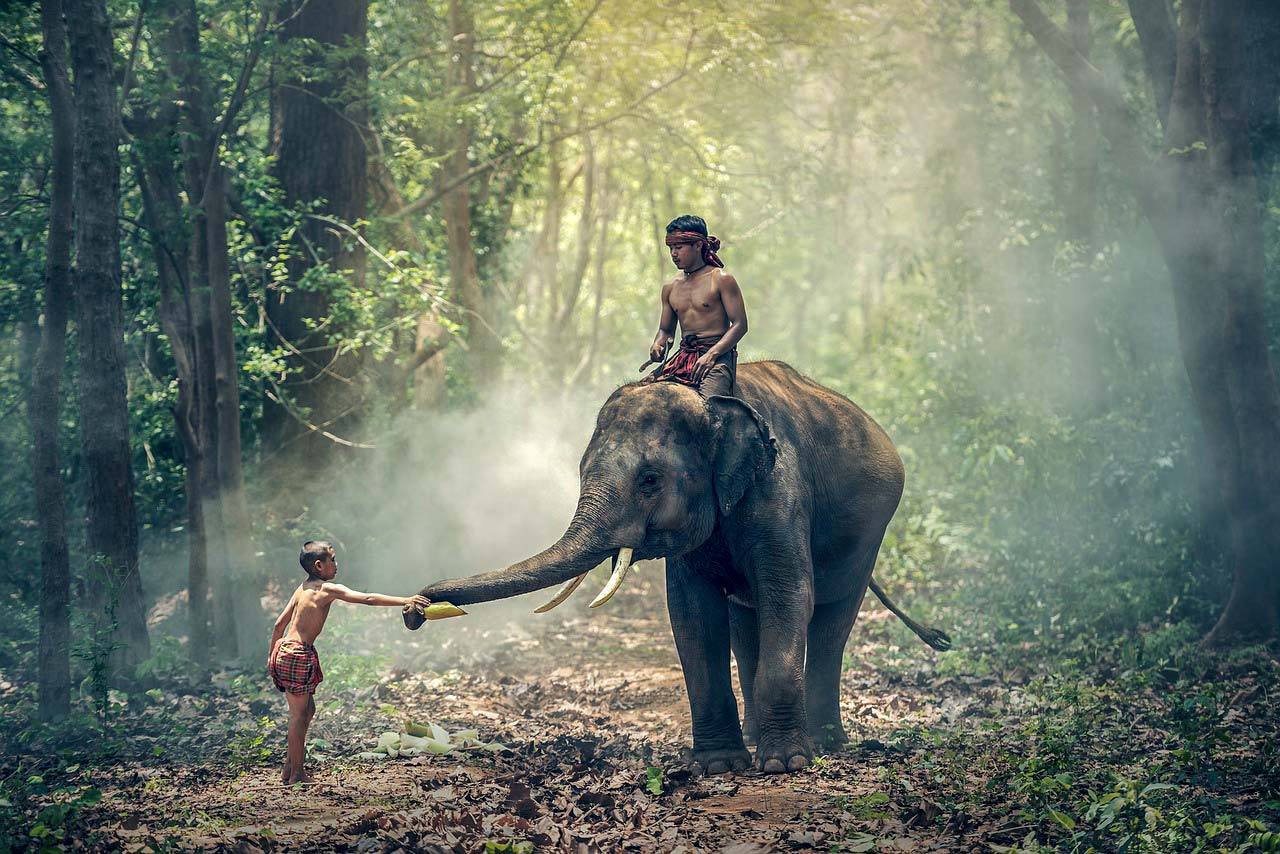 You are currently viewing 10 Największych Atrakcji w Indiach