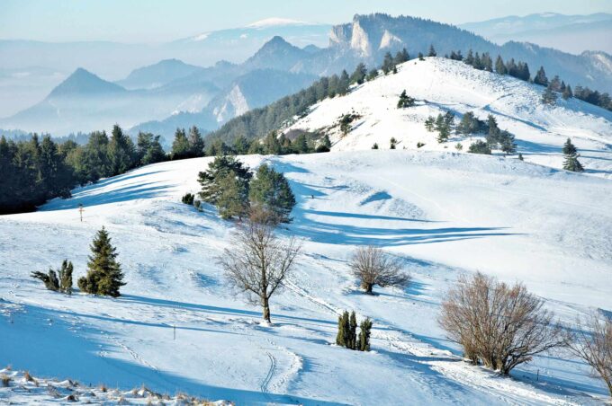 Read more about the article Szczawnica Atrakcje Zimą 2023/2024: 16 Atrakcji