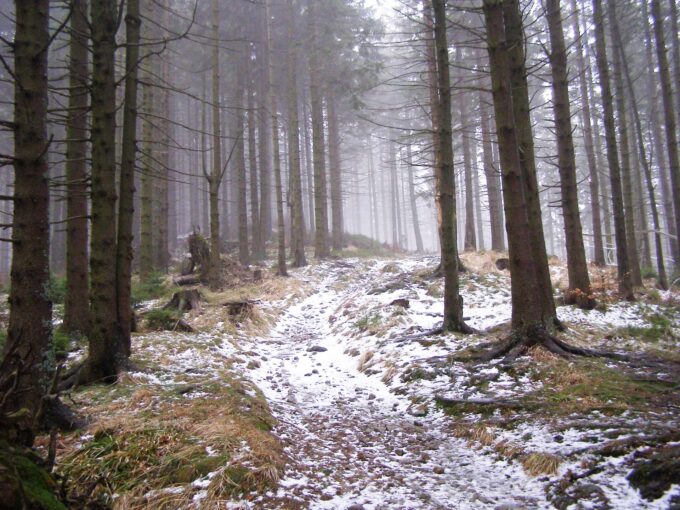 Read more about the article Beskid Sądecki Zimą – Atrakcje. Niezwykłe Miejsca na Zimowy Wypoczynek