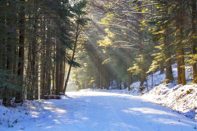 Read more about the article Beskid Niski Zimą: 6 powodów, dla których warto je odwiedzić