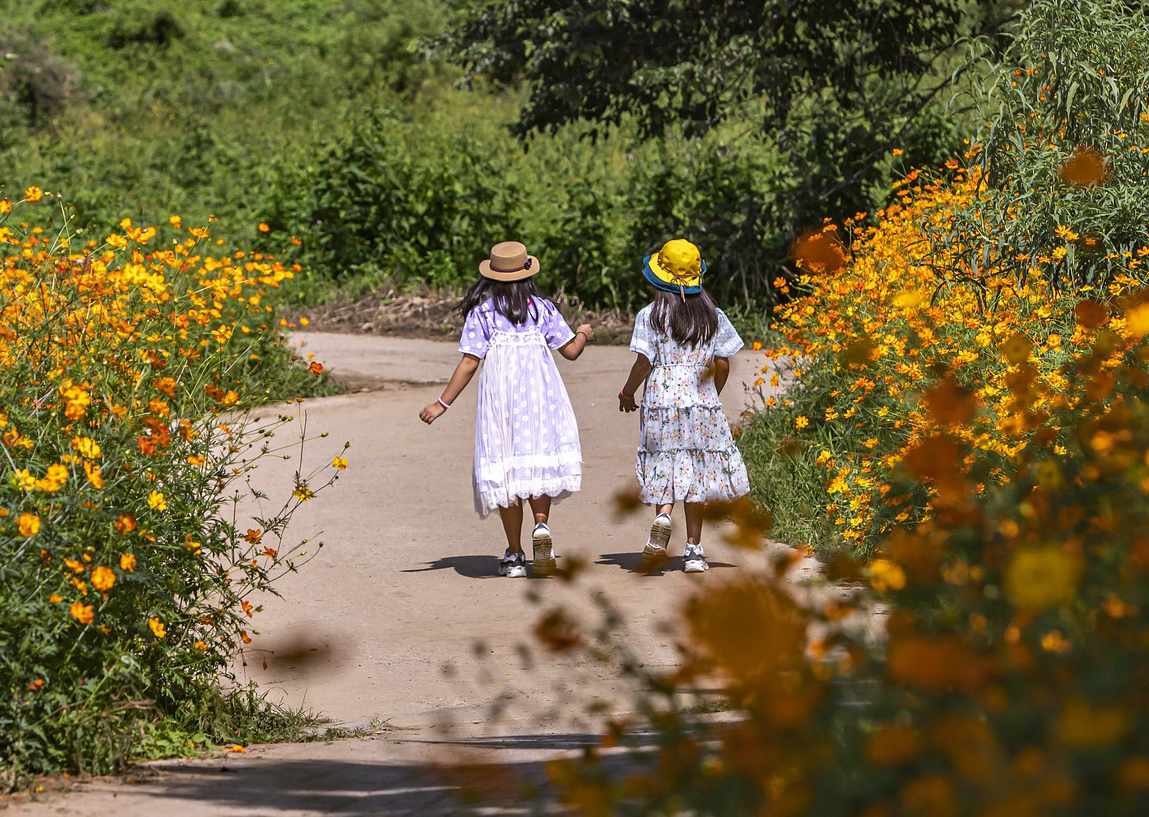 You are currently viewing 25 Popularnych Atrakcji Dla Dzieci w Lubelskim