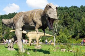 Bałtów na weekend. 7 atrakcji do zaliczenia JuraPark Bałtów