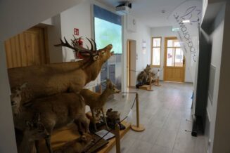Centrum Dziedzictwa Przyrodniczego „Muzeum torfowisk”