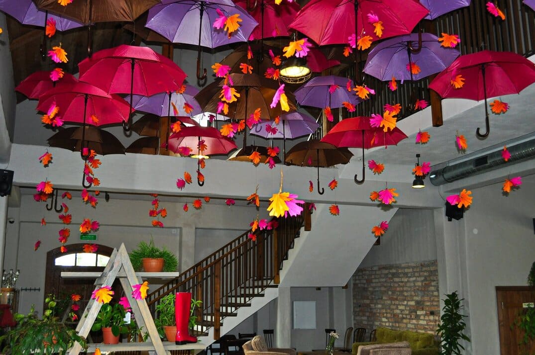 Sala Zabaw Zaczarowany Las