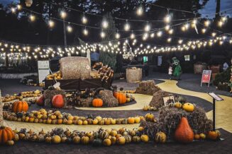 Kujawsko-pomorskie - Top 30 atrakcji turystycznych w 2024 Kujawsko – pomorskie - Top 30 atrakcji turystycznych w 2024 2659