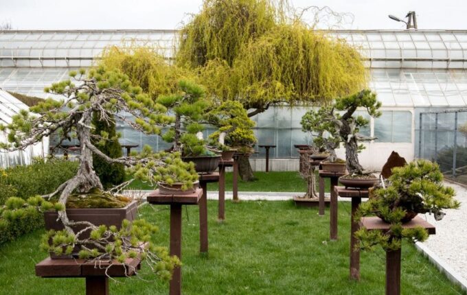 Read more about the article Miejsca turystyczne na Dolnym Śląsku. Top 25 atrakcji, które warto odwiedzić