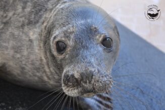 Gdzie zimą warto wybrać się w Jastarni? 438094045_741470701509471_6414049601509942897_n