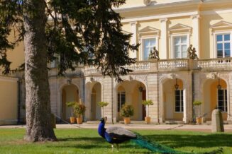 Weekend w Lubelskim - co warto zwiedzić i zobaczyć? Poznaj atrakcje Weekend w Lubelskim