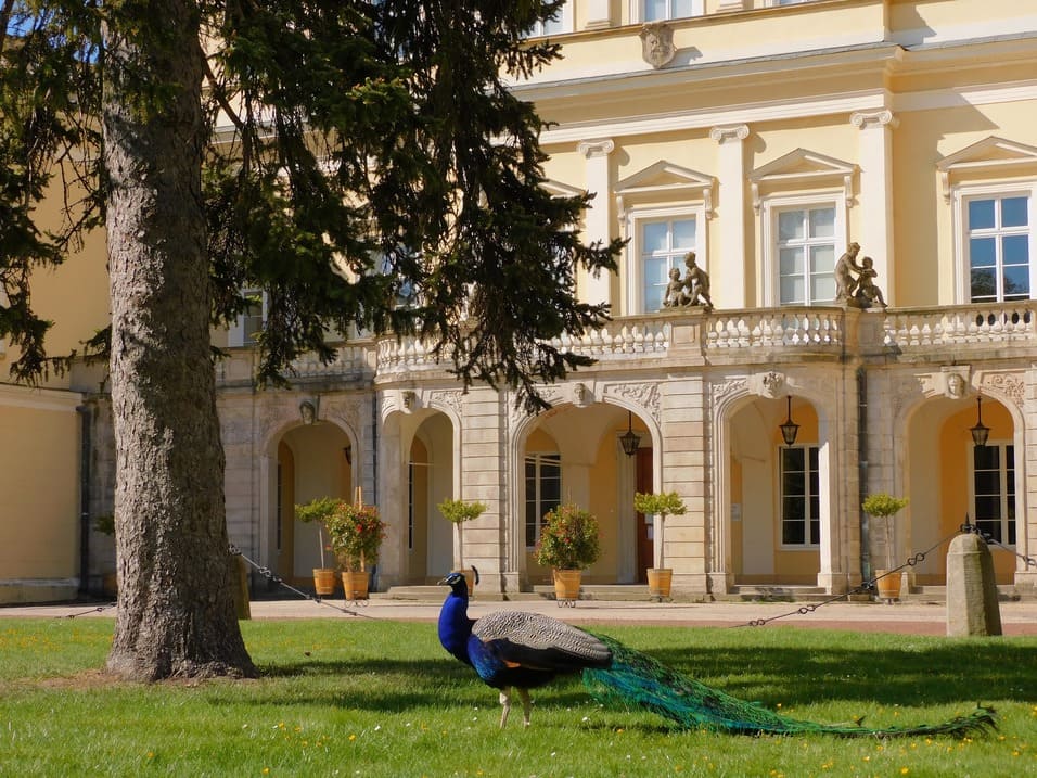 You are currently viewing Weekend w Lubelskim – co warto zwiedzić i zobaczyć? Poznaj atrakcje