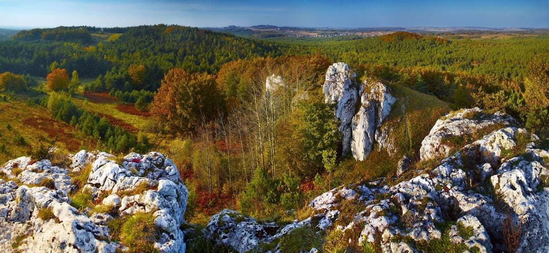 You are currently viewing Jura Krakowsko-Częstochowska atrakcje. Co warto zobaczyć?
