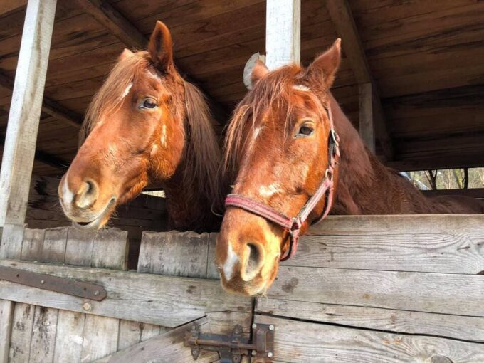 Read more about the article Jantar atrakcje turystyczne 🗺️ ciekawe miejsca w Jantarze