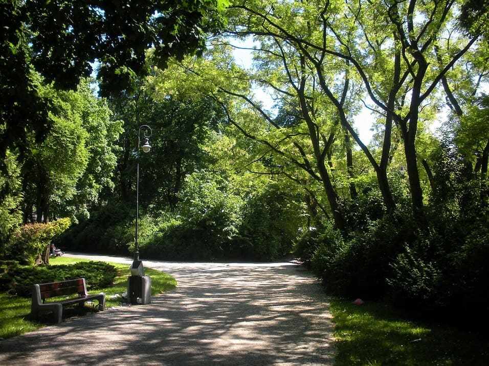 Park im. ks. Józefa Poniatowskiego