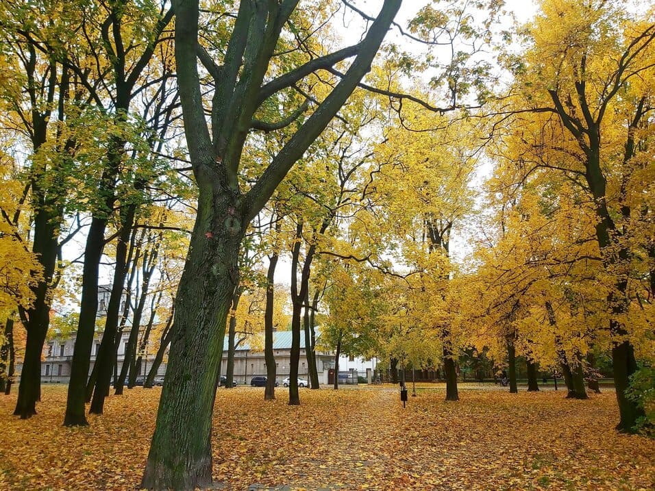 Muzeum Kinematografii