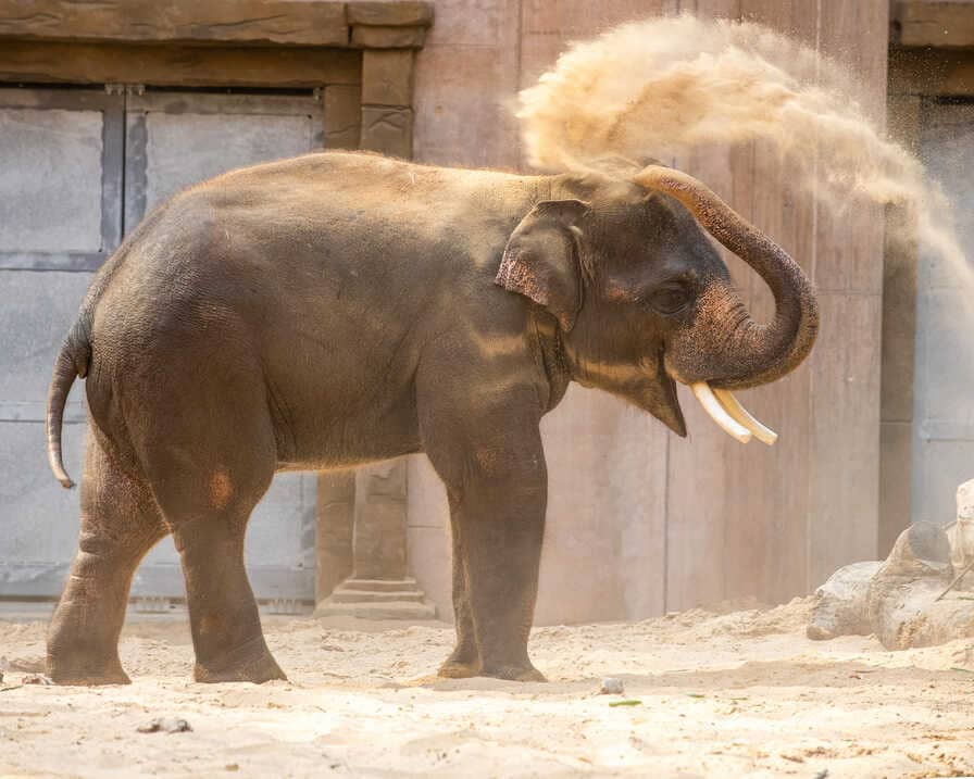 Orientarium Zoo w Łodzi