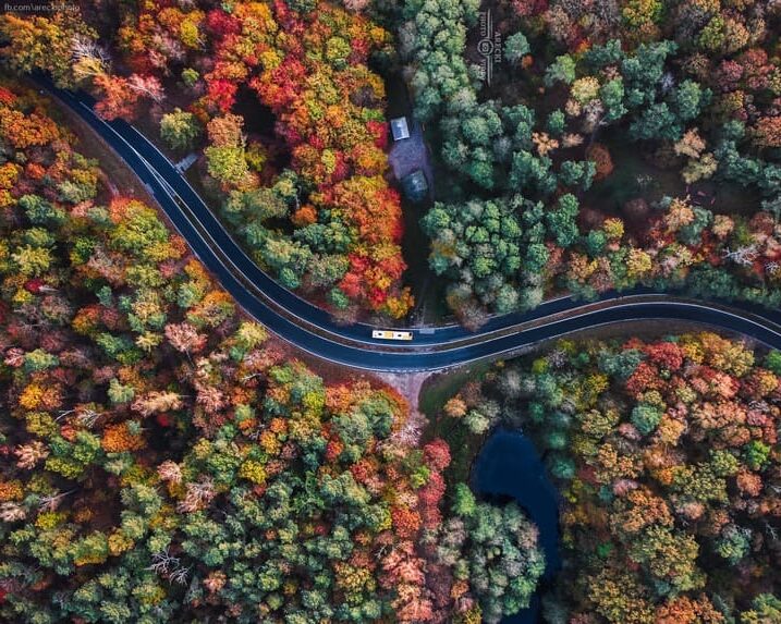 Rezerwat Przyrody Las Łagiewnicki 